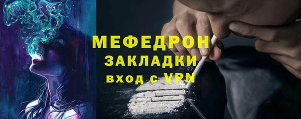 PSILOCYBIN Богданович