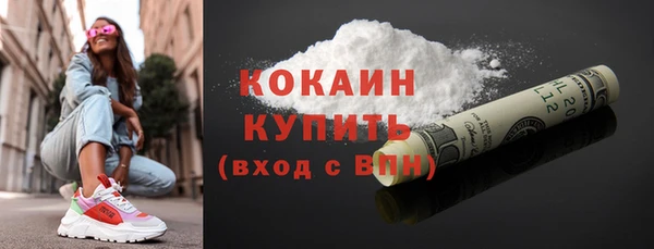 PSILOCYBIN Богданович