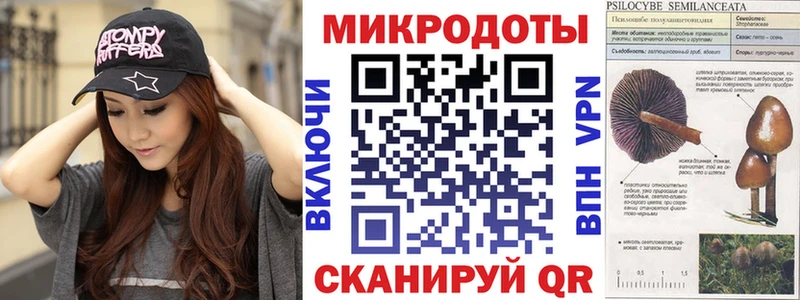Купить где  Грайворон  Псилоцибиновые грибы прущие грибы 