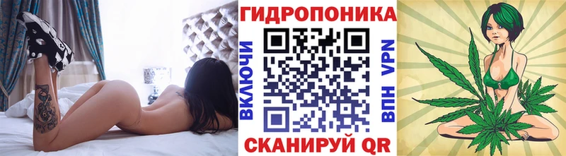 Бошки марихуана Bruce Banner  Купить где  Грайворон 